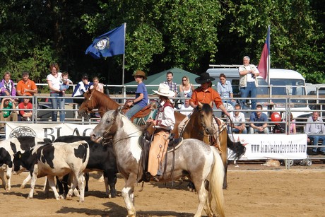 rodeo