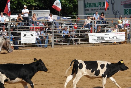rodeo