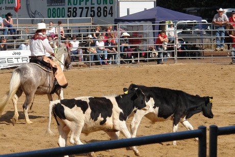 rodeo