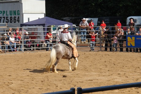 rodeo