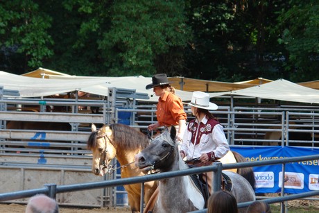 rodeo