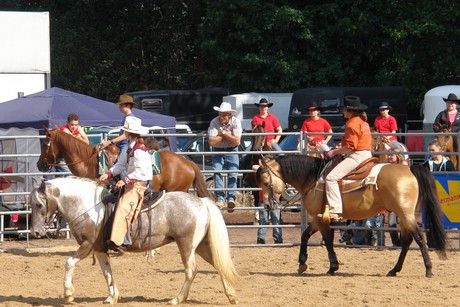 rodeo