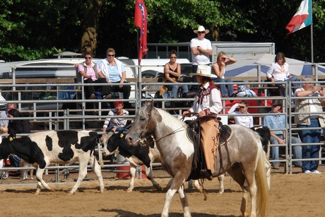 rodeo