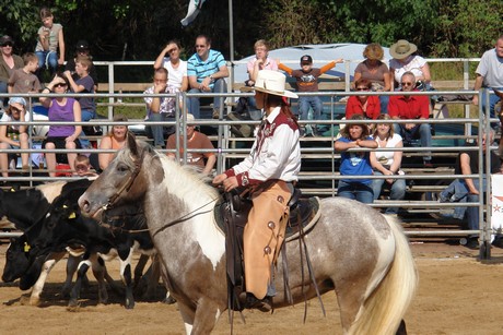 rodeo