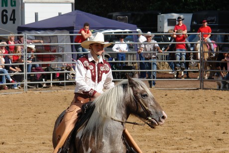 rodeo
