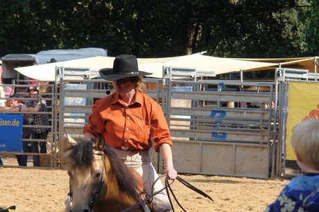 rodeo