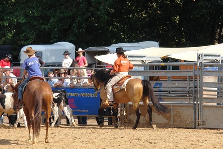 rodeo