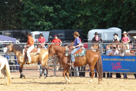 rodeo