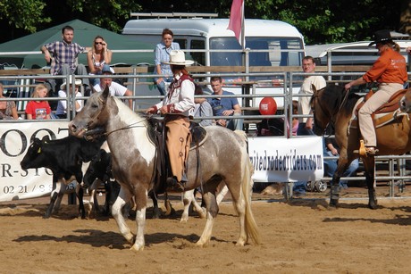 rodeo