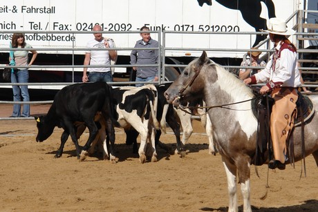 rodeo