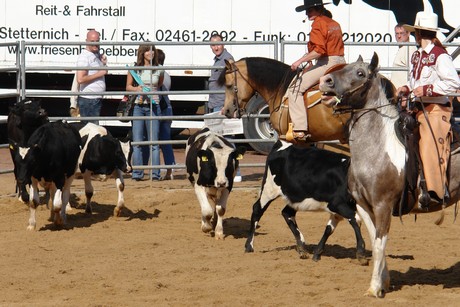 rodeo