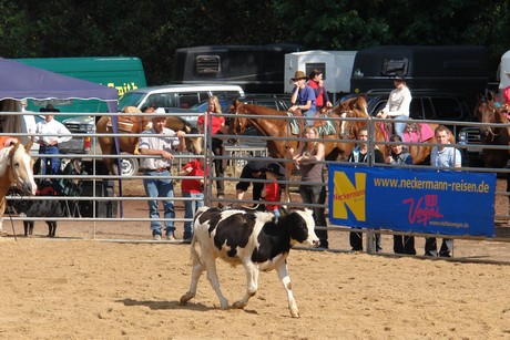 rodeo