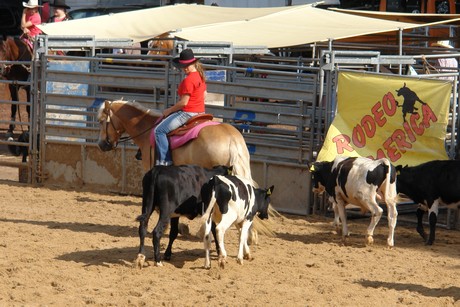 rodeo