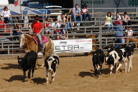 rodeo