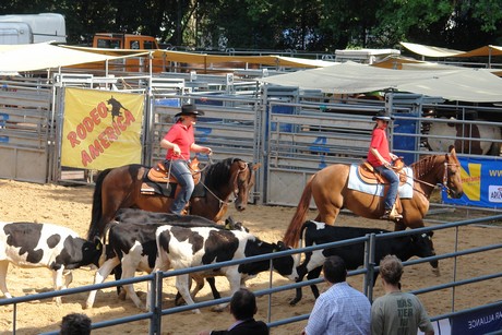 rodeo