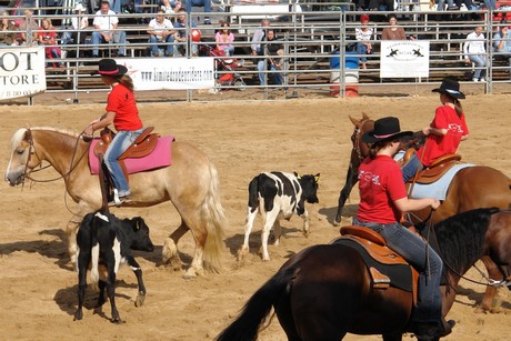 rodeo