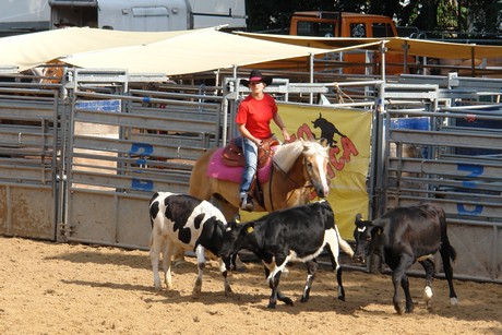 rodeo