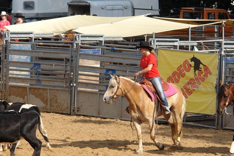 rodeo