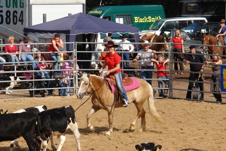 rodeo
