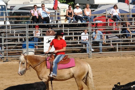 rodeo