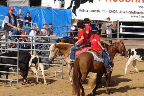 rodeo