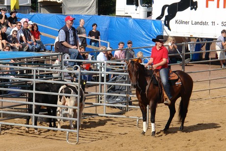 rodeo