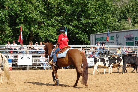 rodeo