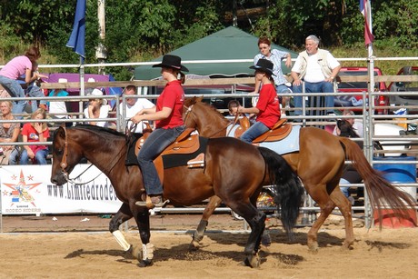 rodeo