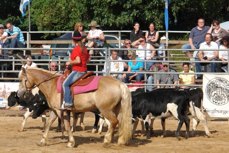 rodeo