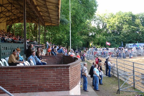 rodeo