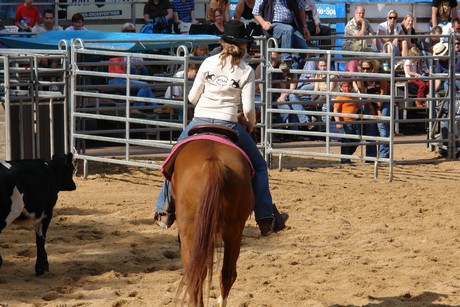 rodeo