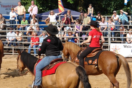 rodeo