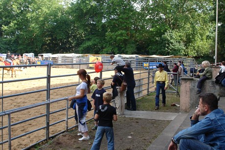rodeo