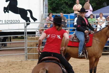 rodeo
