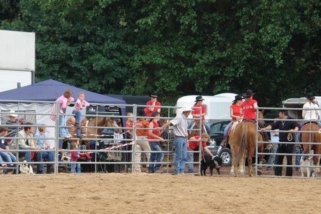 rodeo