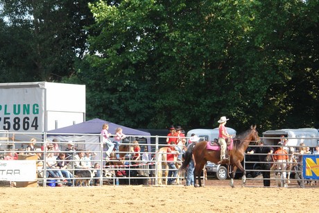 rodeo