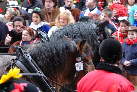 rosenmontagszug