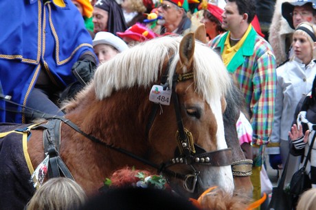 rosenmontagszug