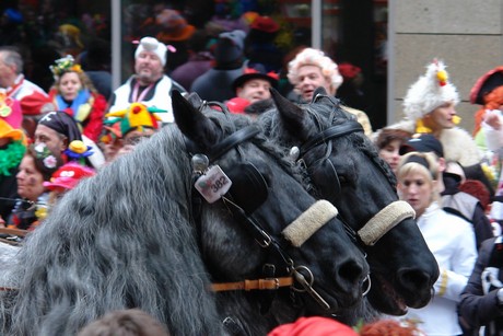 rosenmontagszug
