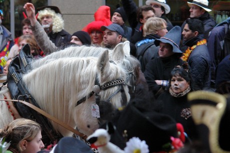rosenmontagszug
