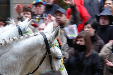 rosenmontagszug