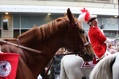 rosenmontag