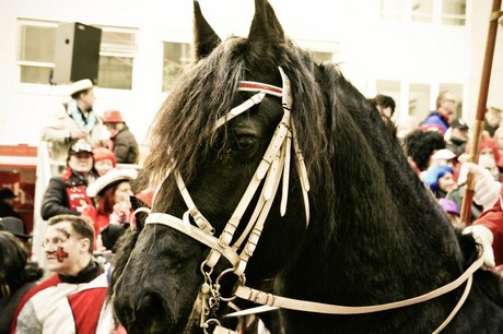 Rosenmontagszug