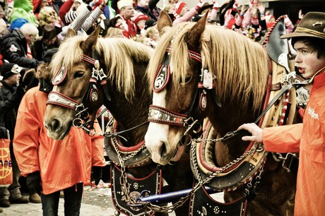 Rosenmontagszug
