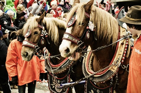 Rosenmontagszug