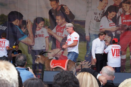 fc-koeln
