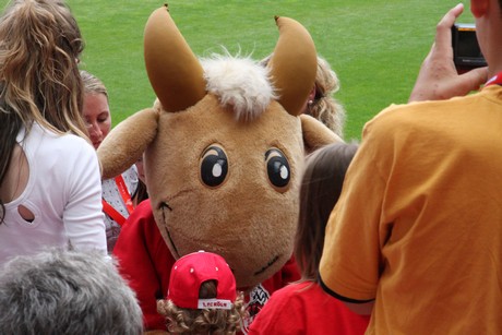 fc-koeln