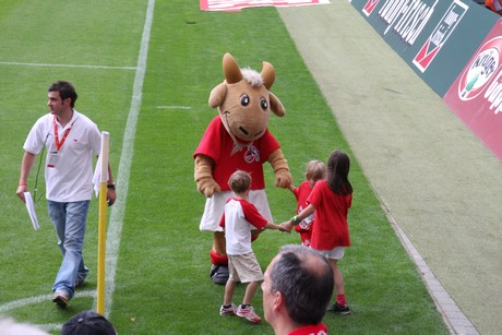 fc-koeln