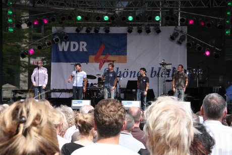 wdr4