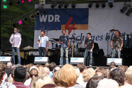 wdr4